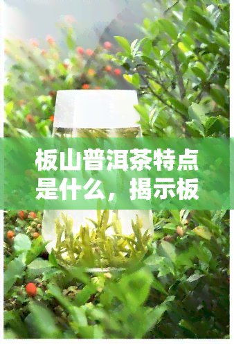 板山普洱茶特点是什么，揭示板山普洱茶的独特魅力：特点解析