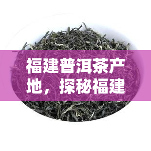 福建普洱茶产地，探秘福建普洱茶产地：品味独特韵味的茶香世界