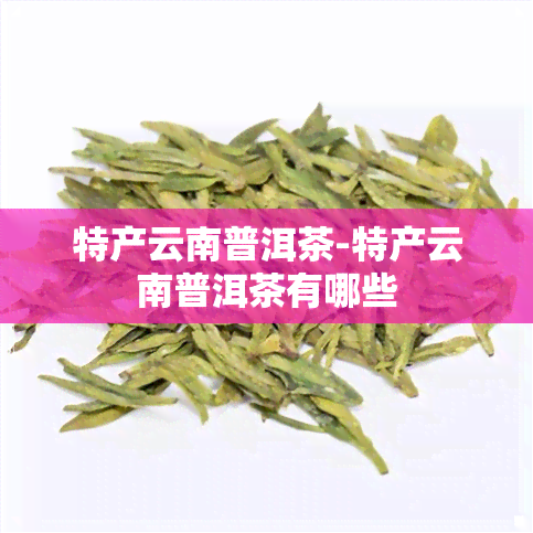 特产云南普洱茶-特产云南普洱茶有哪些