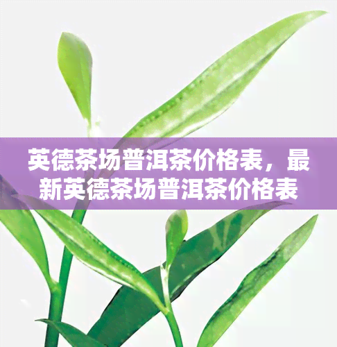 英德茶场普洱茶价格表，最新英德茶场普洱茶价格表，一网打尽！