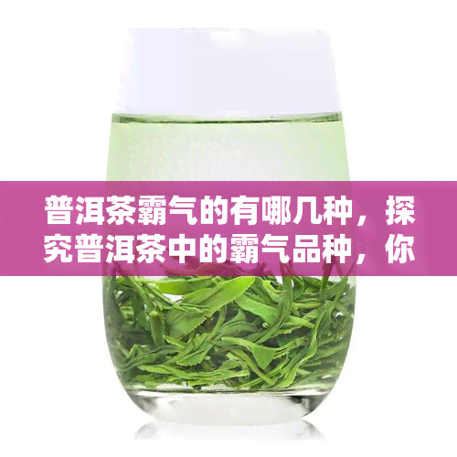 普洱茶霸气的有哪几种，探究普洱茶中的霸气品种，你了解多少？