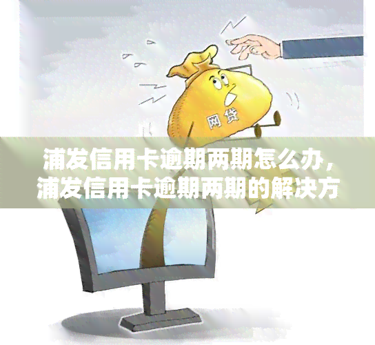 浦发信用卡逾期两期怎么办，浦发信用卡逾期两期的解决方法