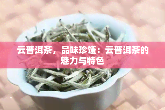 云普洱茶，品味珍馐：云普洱茶的魅力与特色