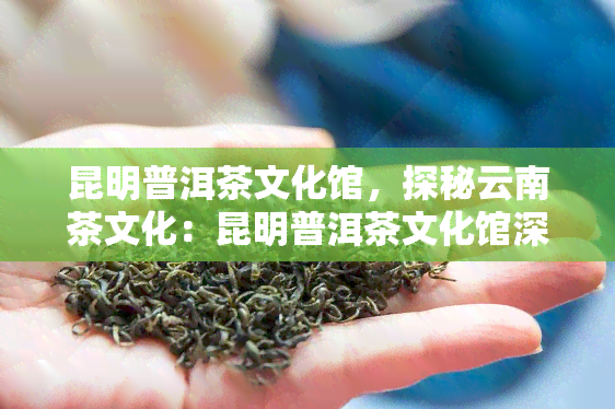 昆明普洱茶文化馆，探秘云南茶文化：昆明普洱茶文化馆深度游