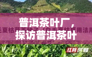 普洱茶叶厂，探访普洱茶叶厂：揭秘优质普洱茶的制作过程