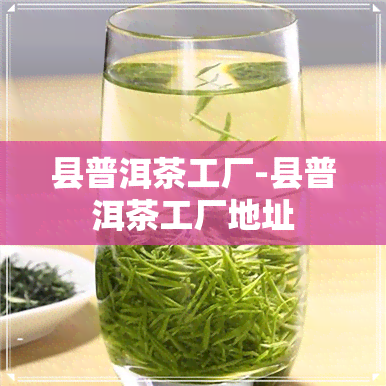 县普洱茶工厂-县普洱茶工厂地址