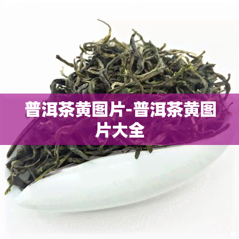 普洱茶黄图片-普洱茶黄图片大全