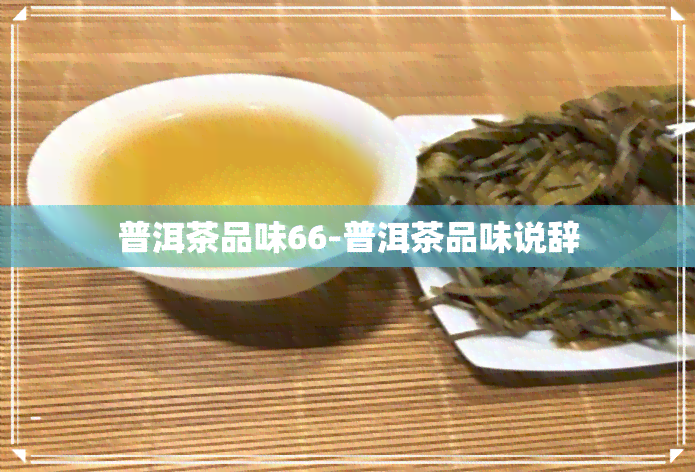 普洱茶品味66-普洱茶品味说辞