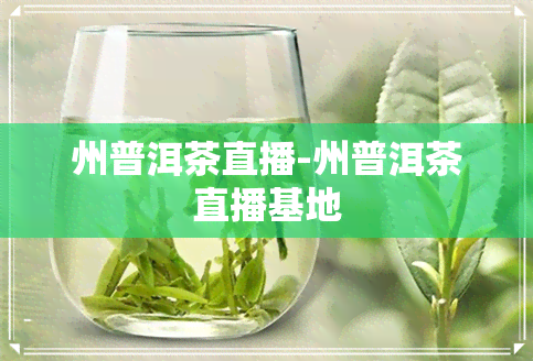 州普洱茶直播-州普洱茶直播基地