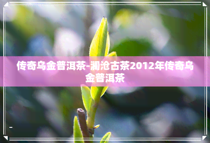 传奇乌金普洱茶-澜沧古茶2012年传奇乌金普洱茶