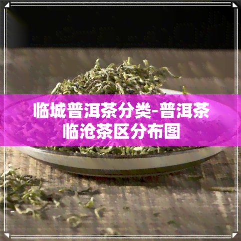 临城普洱茶分类-普洱茶临沧茶区分布图