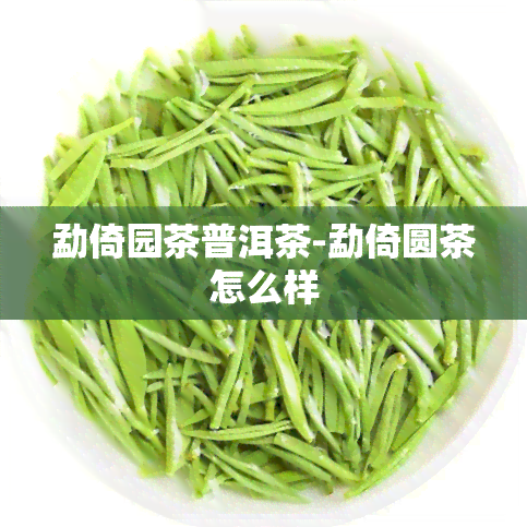 勐倚园茶普洱茶-勐倚圆茶怎么样