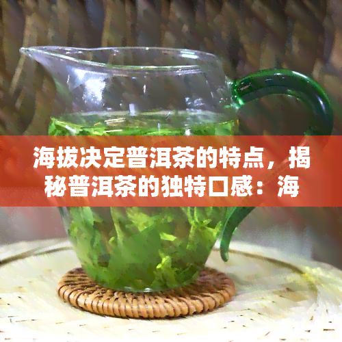 海拔决定普洱茶的特点，揭秘普洱茶的独特口感：海拔如何影响其特点？