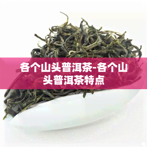 各个山头普洱茶-各个山头普洱茶特点