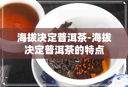 海拔决定普洱茶-海拔决定普洱茶的特点