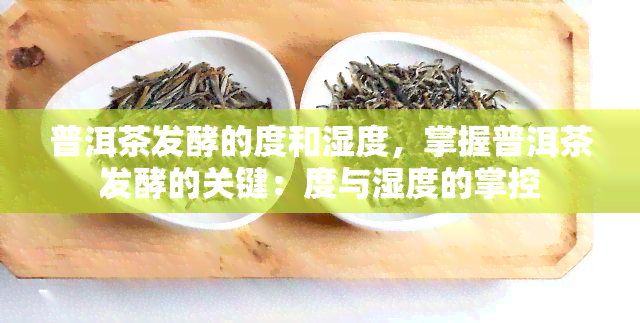 普洱茶发酵的度和湿度，掌握普洱茶发酵的关键：度与湿度的掌控