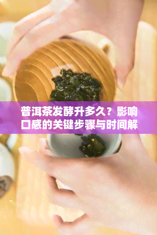 普洱茶发酵升多久？影响口感的关键步骤与时间解析