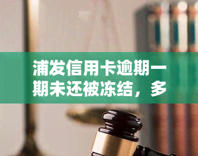 浦发信用卡逾期一期未还被冻结，多久能解冻？已还更低额，如何操作？