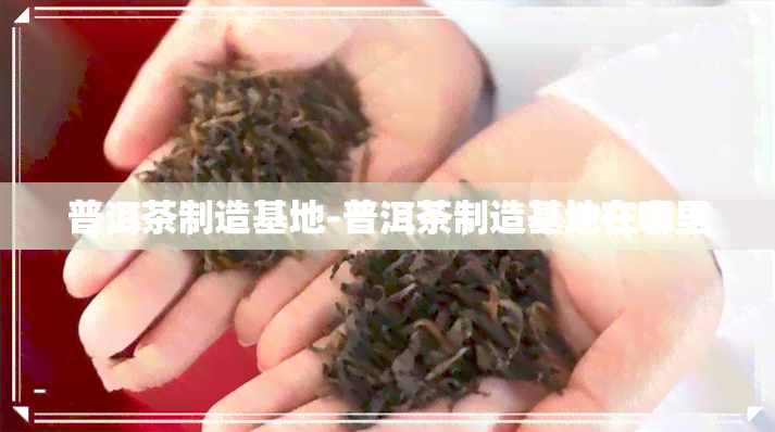 普洱茶制造基地-普洱茶制造基地在哪里