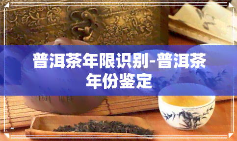 普洱茶年限识别-普洱茶年份鉴定