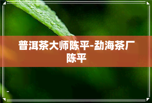 普洱茶大师陈平-勐海茶厂陈平