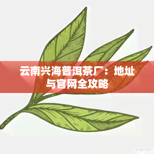 云南兴海普洱茶厂：地址与官网全攻略