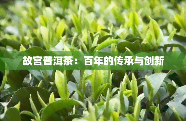 故宫普洱茶：百年的传承与创新