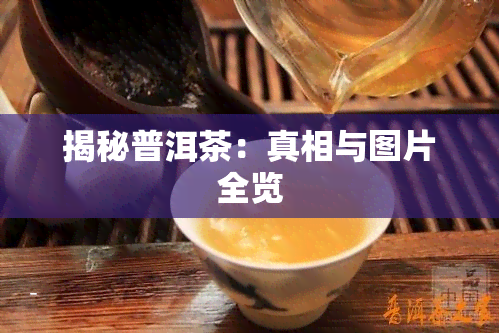 揭秘普洱茶：真相与图片全览