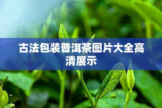 古法包装普洱茶图片大全高清展示