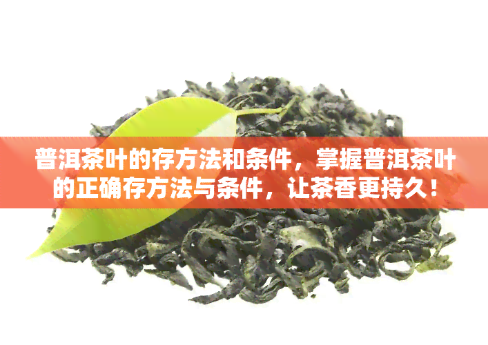 普洱茶叶的存方法和条件，掌握普洱茶叶的正确存方法与条件，让茶香更持久！