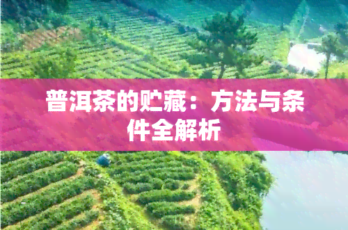 普洱茶的贮藏：方法与条件全解析