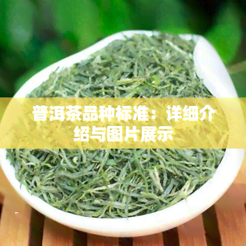 普洱茶品种标准：详细介绍与图片展示