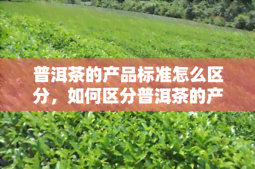 普洱茶的产品标准怎么区分，如何区分普洱茶的产品标准？