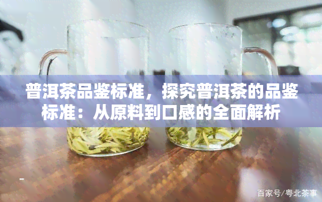 普洱茶品鉴标准，探究普洱茶的品鉴标准：从原料到口感的全面解析