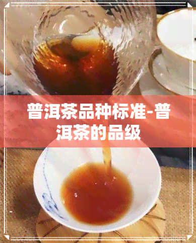 普洱茶品种标准-普洱茶的品级