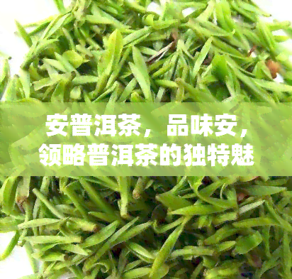 安普洱茶，品味安，领略普洱茶的独特魅力