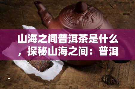 山海之间普洱茶是什么，探秘山海之间：普洱茶的独特魅力与故事