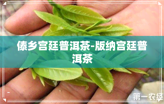 傣乡宫廷普洱茶-版纳宫廷普洱茶