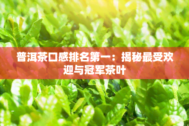 普洱茶口感排名之一：揭秘更受欢迎与冠军茶叶