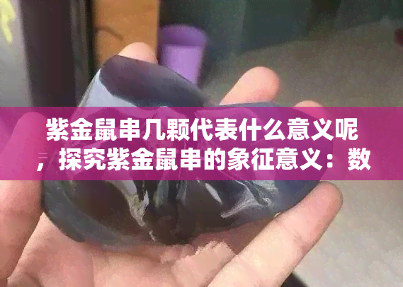 紫金鼠串几颗代表什么意义呢，探究紫金鼠串的象征意义：数颗珠子有何特殊含义？