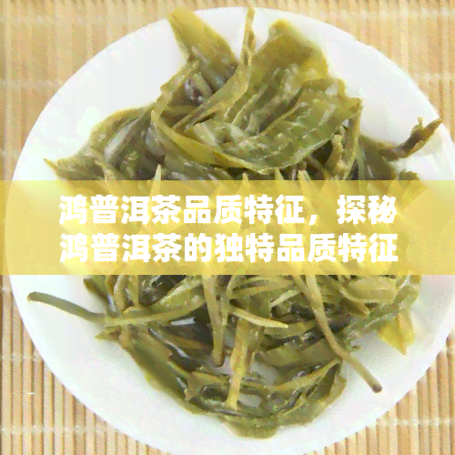 鸿普洱茶品质特征，探秘鸿普洱茶的独特品质特征