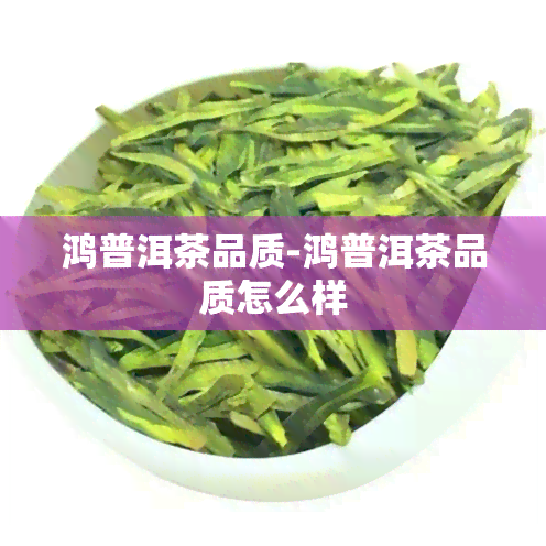 鸿普洱茶品质-鸿普洱茶品质怎么样