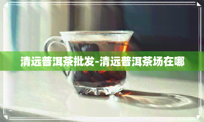 清远普洱茶批发-清远普洱茶场在哪