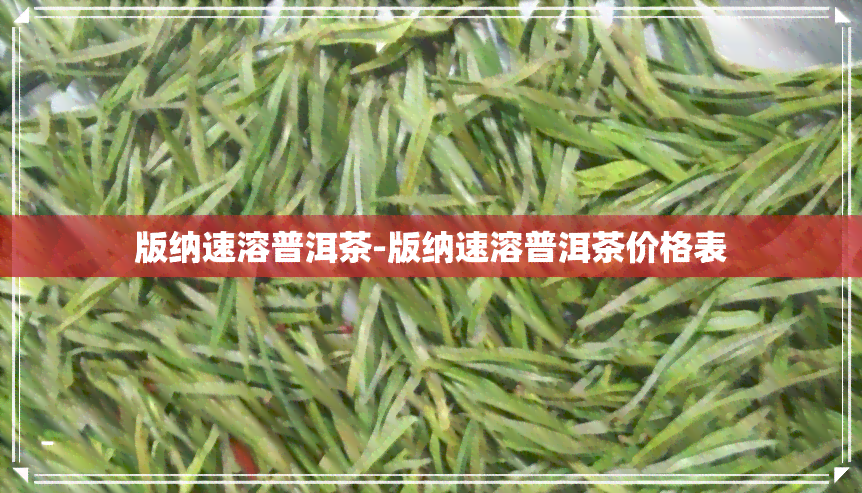 版纳速溶普洱茶-版纳速溶普洱茶价格表