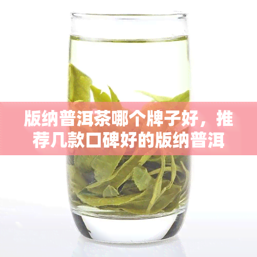 版纳普洱茶哪个牌子好，推荐几款口碑好的版纳普洱茶