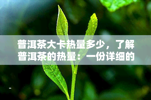 普洱茶大卡热量多少，了解普洱茶的热量：一份详细的营养分析