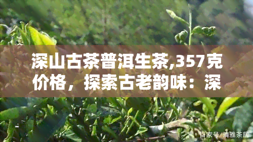 深山古茶普洱生茶,357克价格，探索古老韵味：深山古茶普洱生茶，357克售价解析