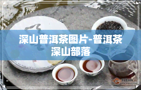 深山普洱茶图片-普洱茶深山部落