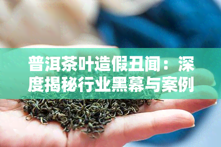 普洱茶叶造假丑闻：深度揭秘行业黑幕与案例