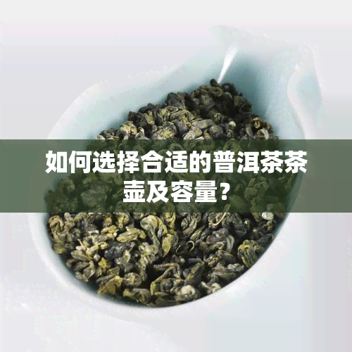 如何选择合适的普洱茶茶壶及容量？